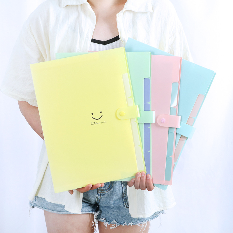 Document Organizer Folder - Organizer File A4 5 Kantong Korea,