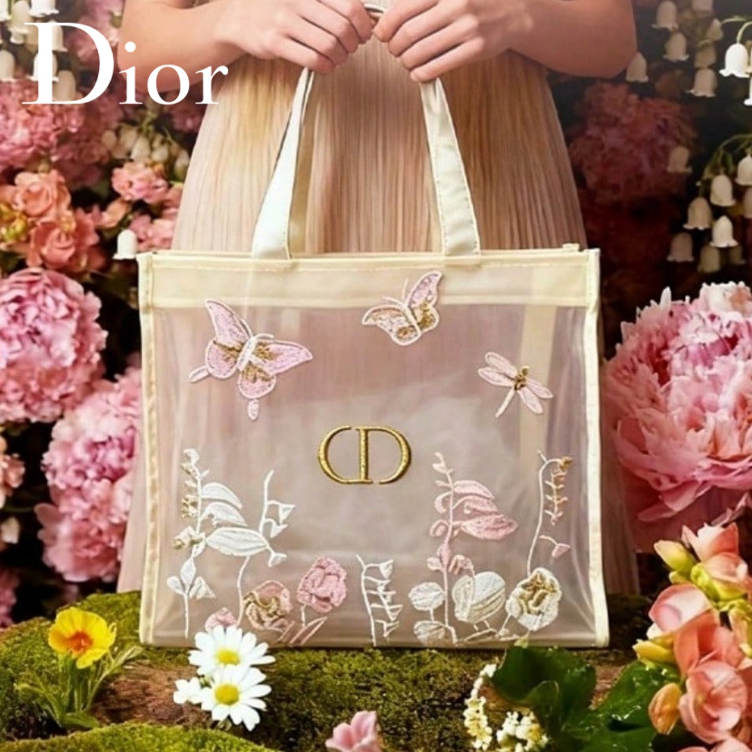 Tas Christian Dior Dior Tas Ri - Travel Accessories Organizer Bag ulasan dan harga